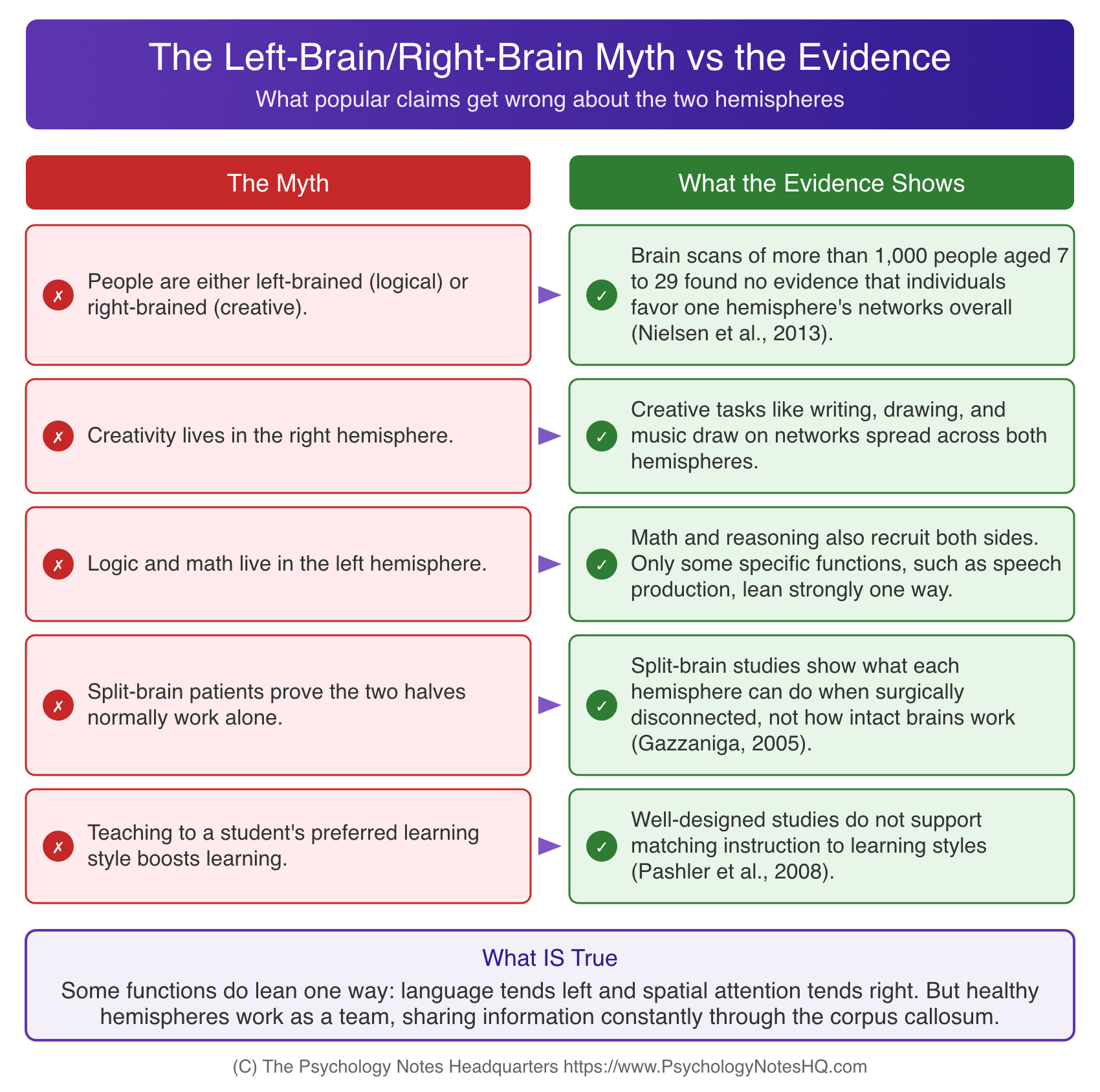 Left brain right brain myth vs evidence chart contrasting popular claims about the brain hemispheres with findings from brain imaging and split-brain research