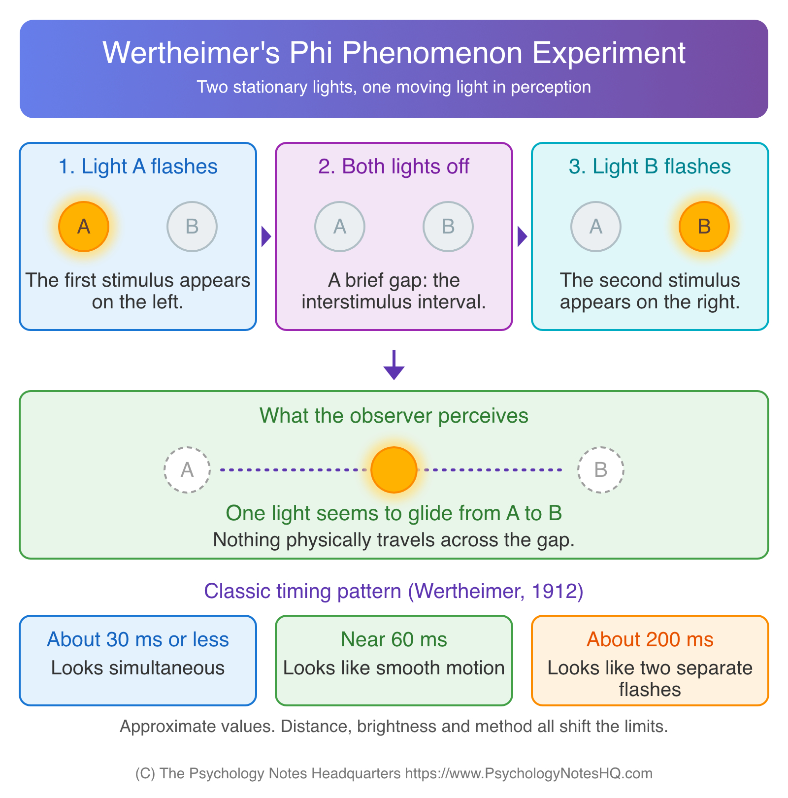 Diagram of Wertheimer's phi phenomenon experiment: two stationary lights flash in turn and the observer sees one moving light