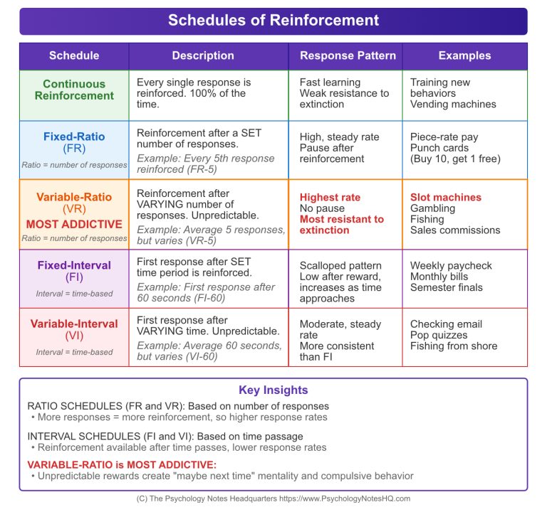 Operant Conditioning: Definition, Types & Real-Life Examples