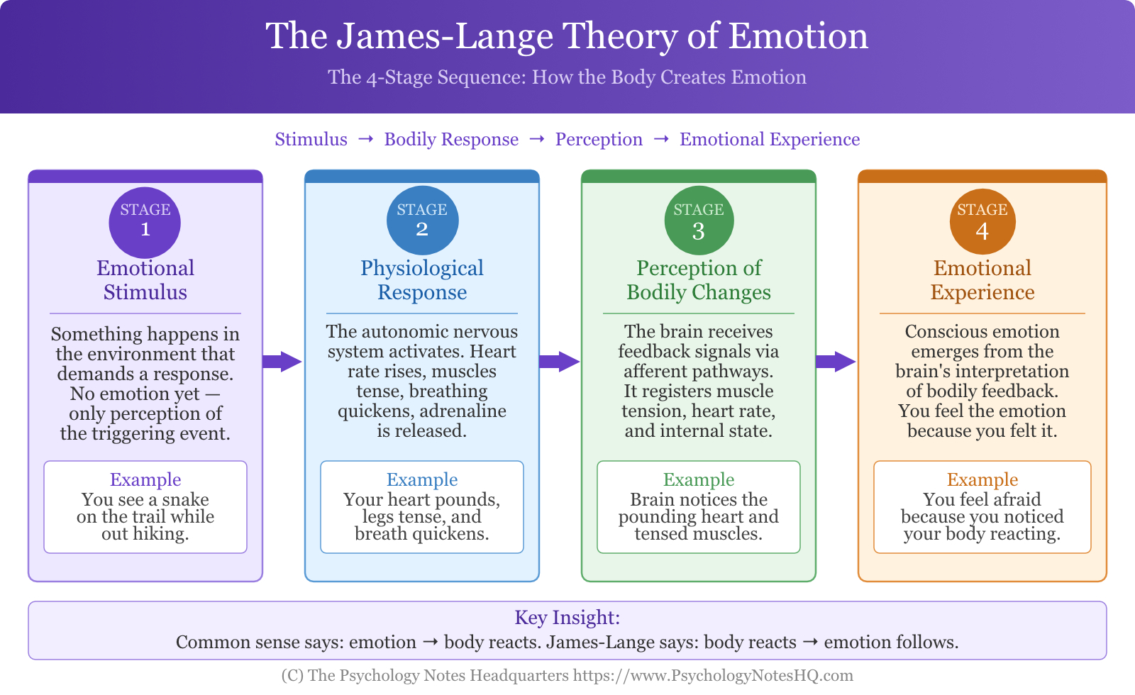 The James-Lange Theory Stages
