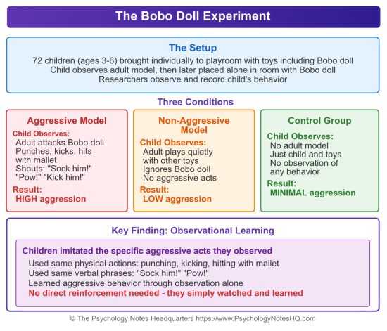 Boboddy Method Social Learning Theory: Bandura, Bobo Doll & 4 Processes