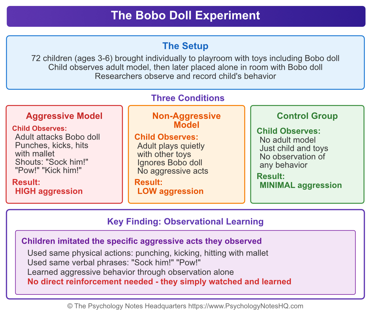 Social Learning Theory Explained Bobo Doll To TikTok Social Learning Theory Explained Bobo Doll To TikTok