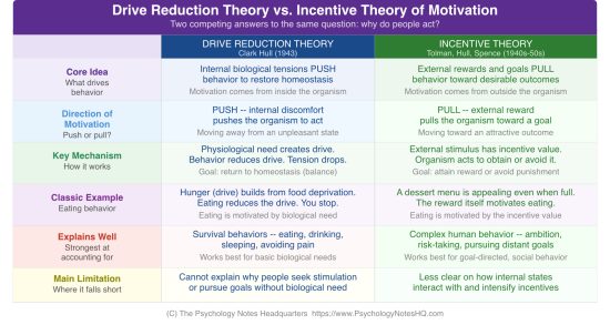 Incentive Theory of Motivation: Examples & Key Principles