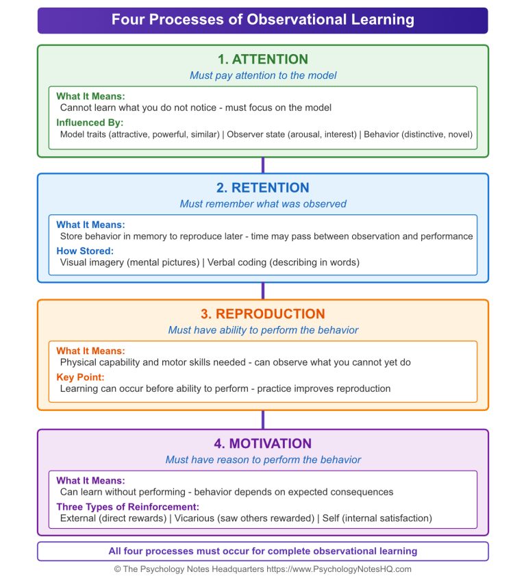 What Is Gender Socialization? Theories, Agents & Examples