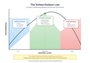Arousal Theory: Yerkes-Dodson Law & Optimal Performance