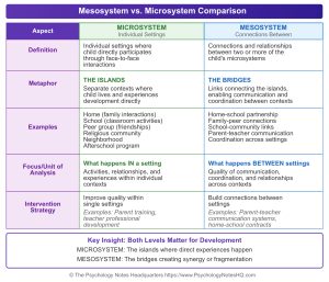 Mesosystem: Bronfenbrenner's Theory, Examples & Connections