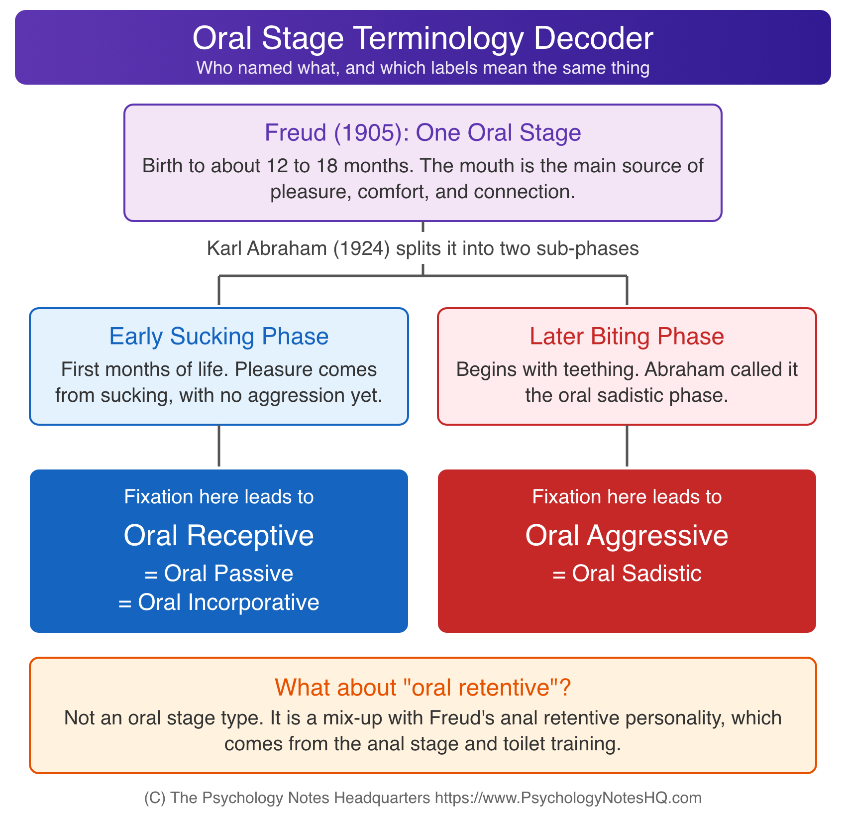 Oral stage terminology chart showing Abraham's sucking and biting phases and the oral receptive, passive, and sadistic labels