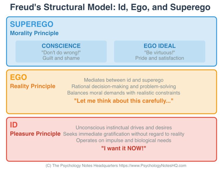 Superego Development: Freud's Conscience, Guilt & Ego Ideal