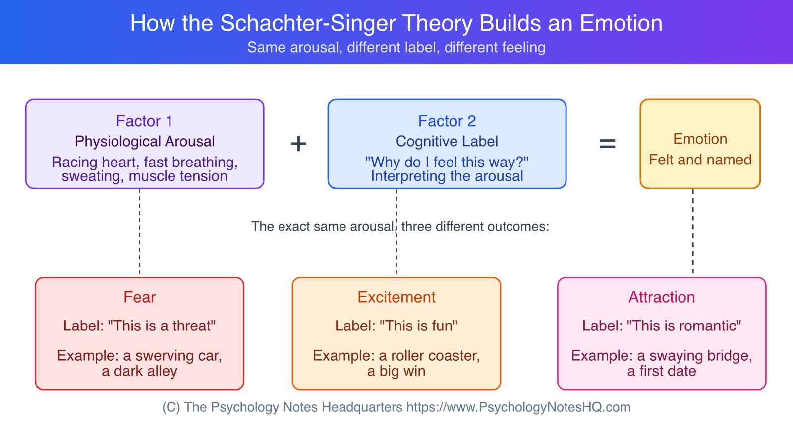 Diagram showing how physiological arousal plus a cognitive label combine to produce fear, excitement, or attraction in the Schachter-Singer two-factor theory of emotion