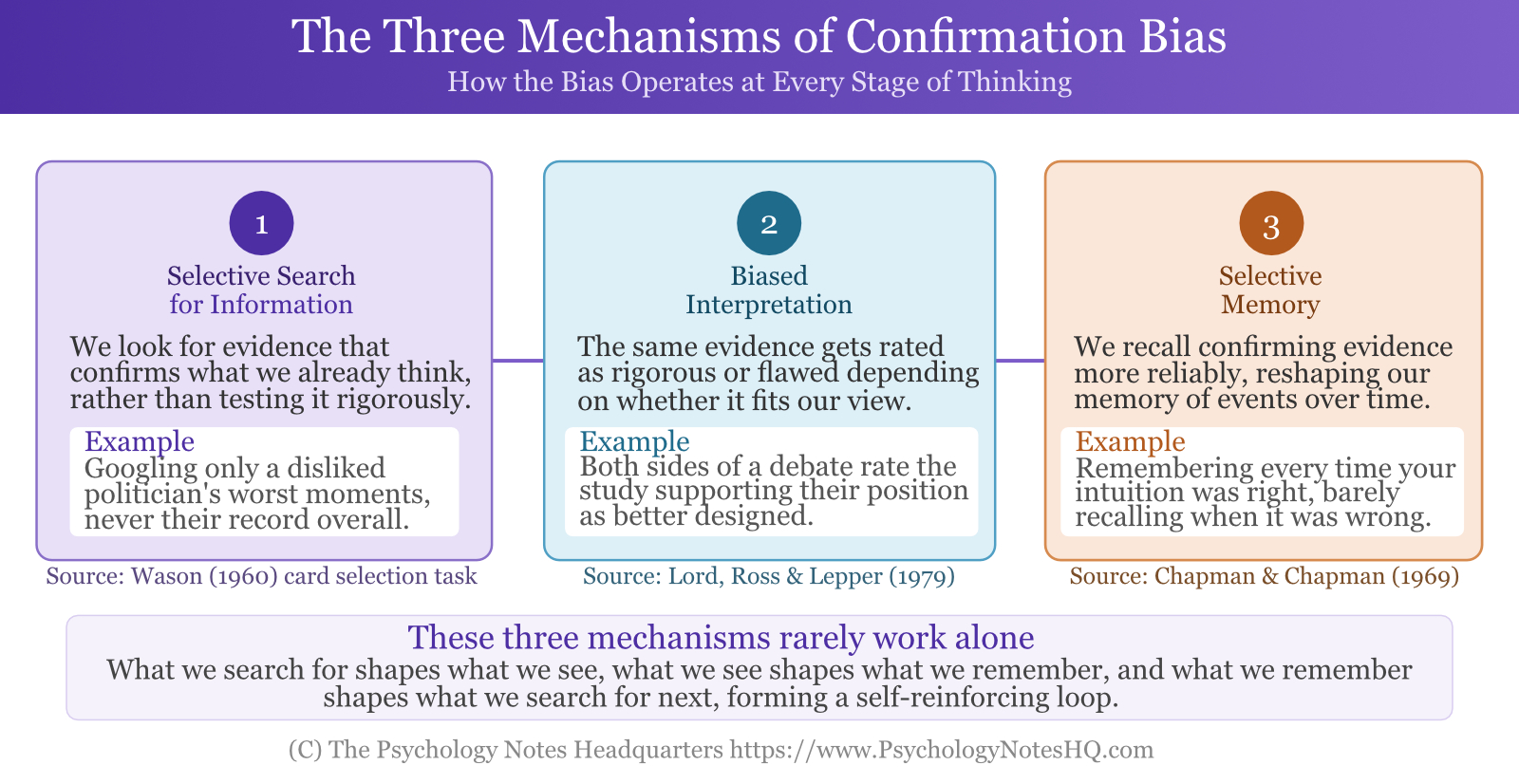 Diagram of the three mechanisms of confirmation bias: selective search, biased interpretation, and selective memory, with examples and research sources for each