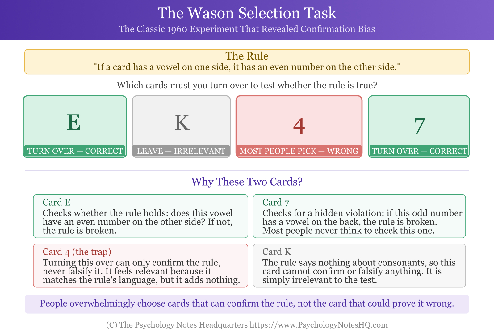 Wason selection task diagram showing four cards labeled E, K, 4, and 7, with E and 7 marked as the correct cards to turn over to test the rule and 4 marked as the common wrong answer