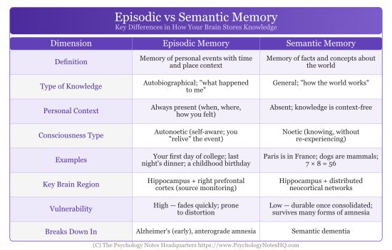 Episodic vs Semantic Memory: Key Differences Explained