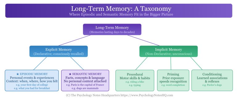 Episodic vs Semantic Memory: Key Differences Explained