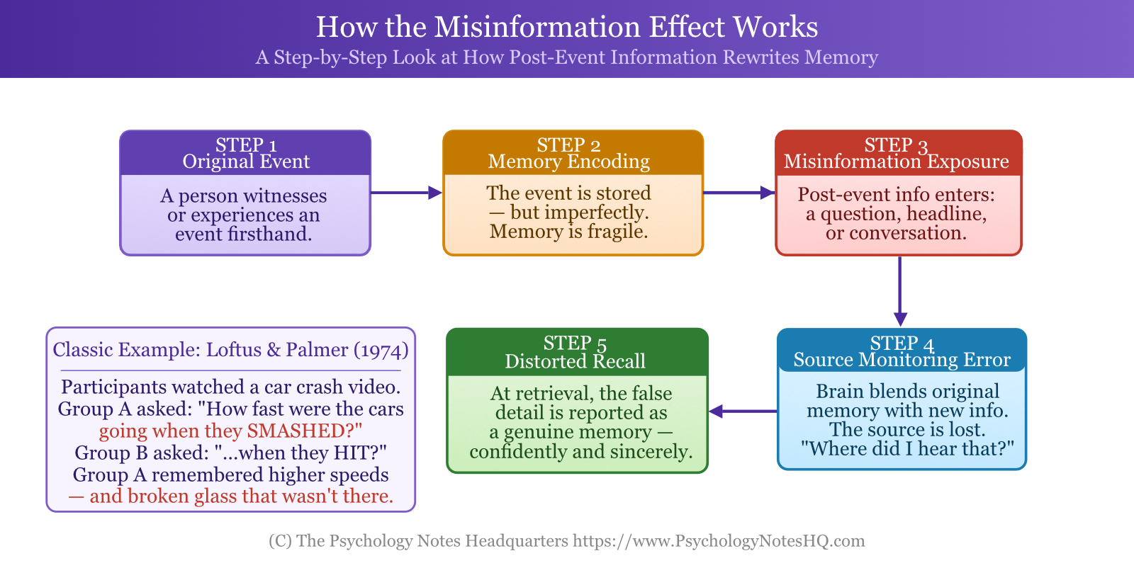 How the Misinformation Effect Works: Flow Chart