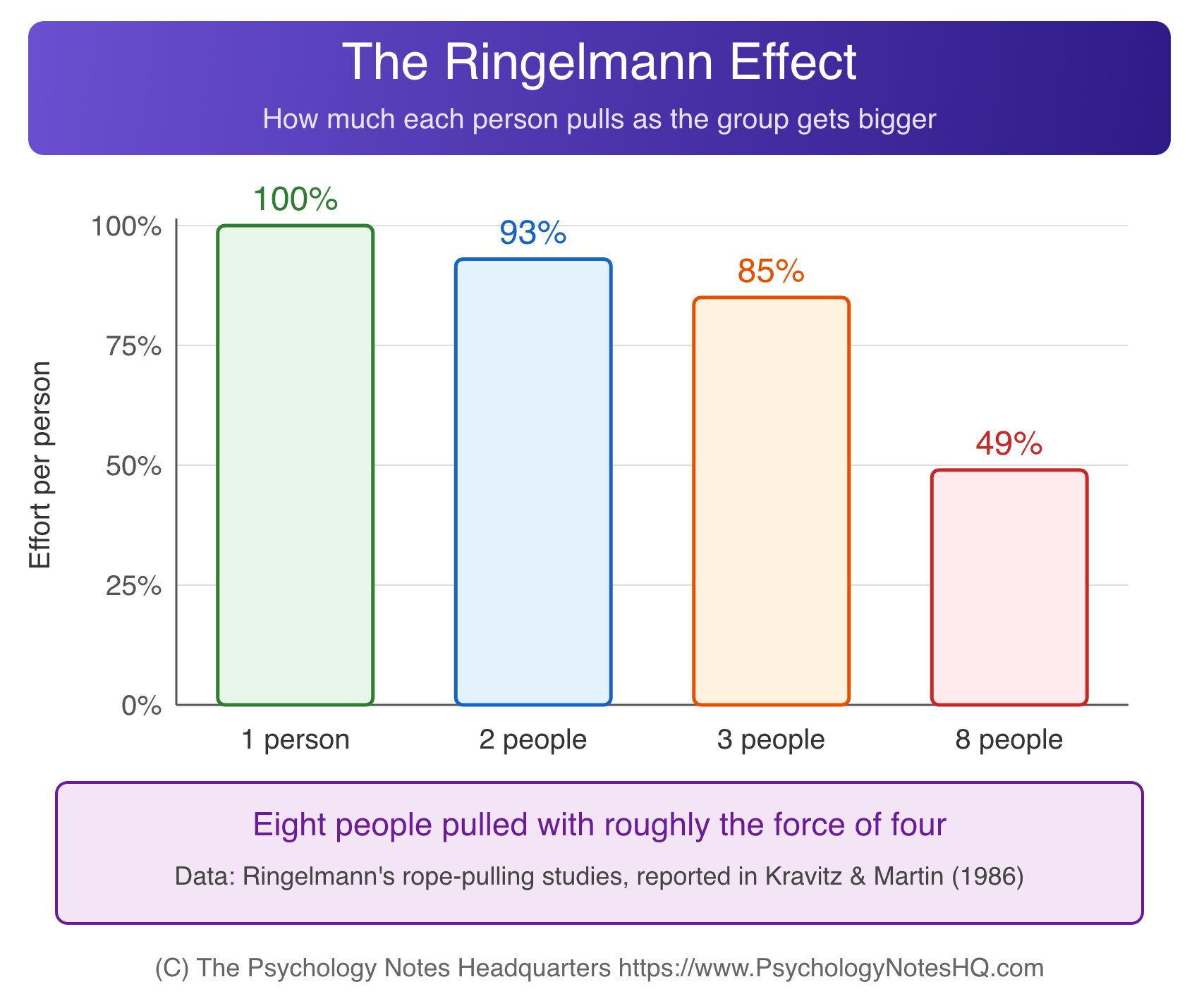 Ringelmann effect chart showing individual effort in social loafing dropping from 100% alone to 49% in groups of eight